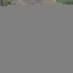 Tour_d_SoCal2_0060 (September 12, 2015)
